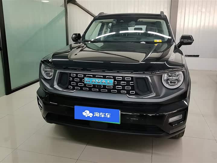 Фото 2 - Haval H-Dog Hybrid