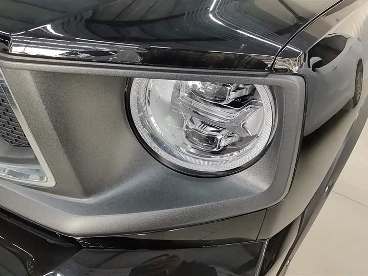 Фото 5 - Haval H-Dog Hybrid