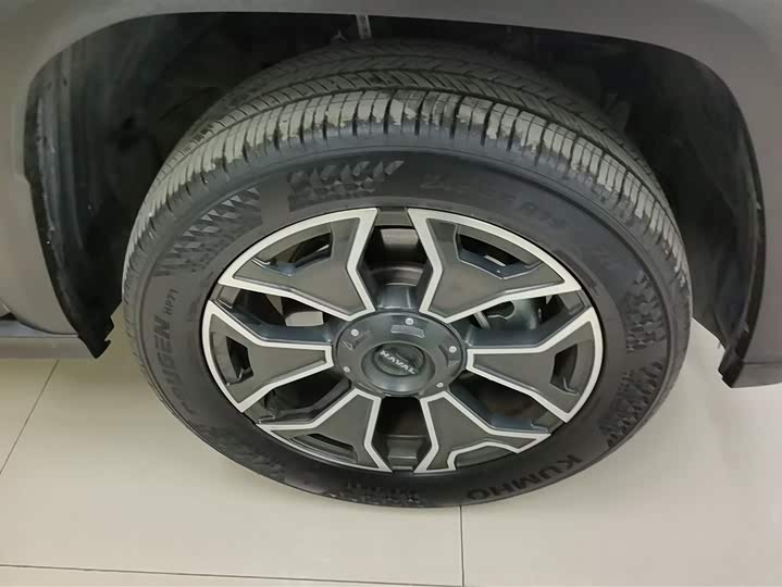 Фото 6 - Haval H-Dog Hybrid