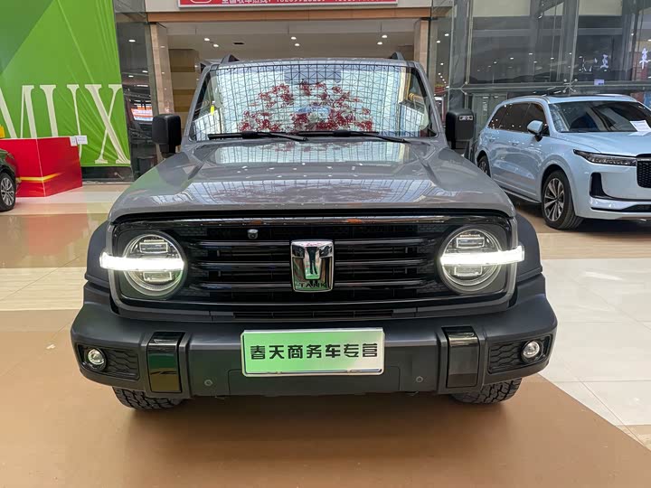 Фото 2 - Tank 300