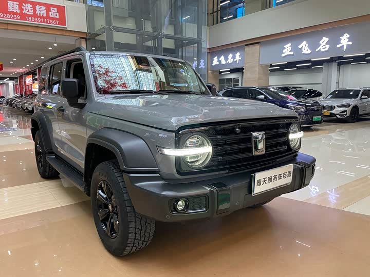 Фото 3 - Tank 300