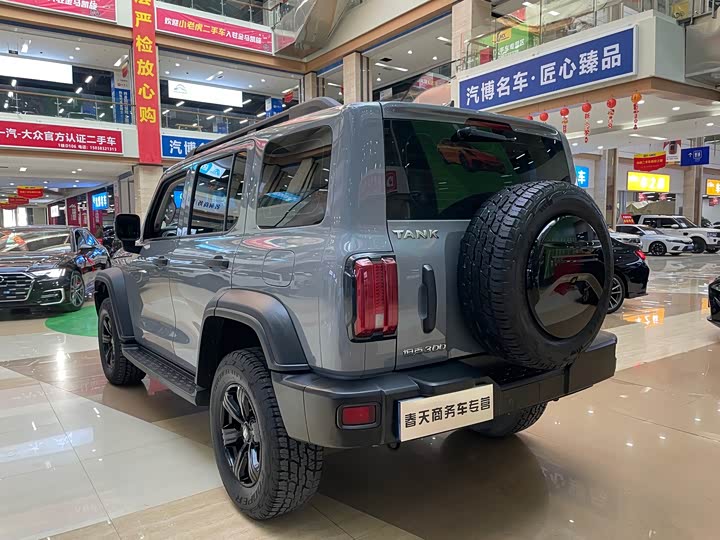 Фото 5 - Tank 300