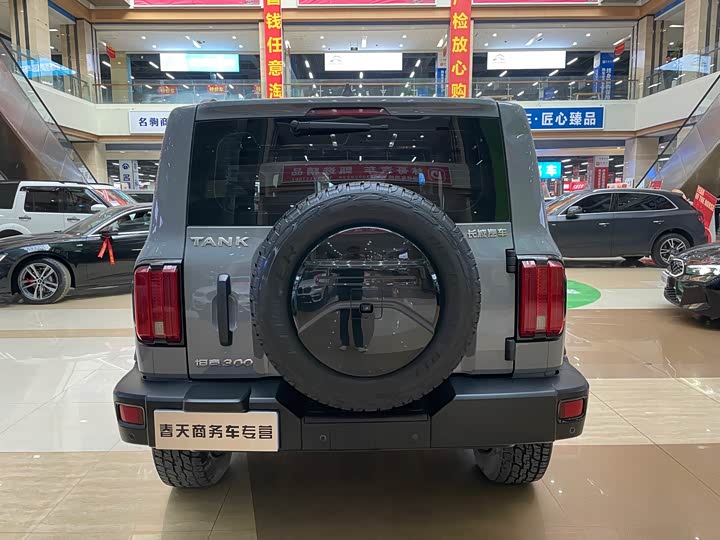 Фото 6 - Tank 300