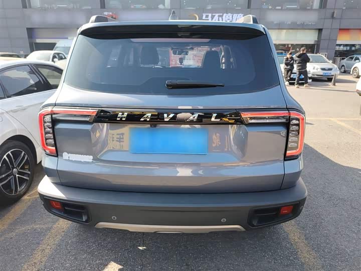 Фото 6 - Haval Dargo