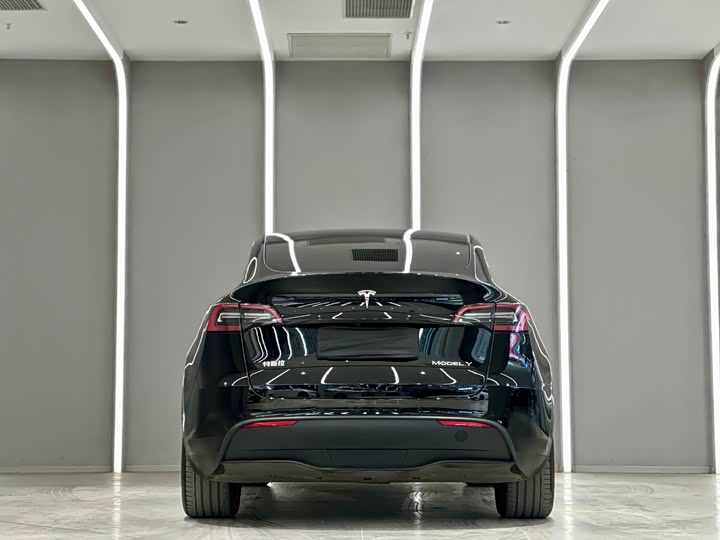 Фото 9 - Tesla Model Y