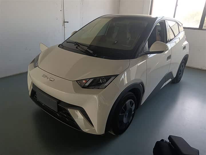 Фото 1 - BYD Seagull