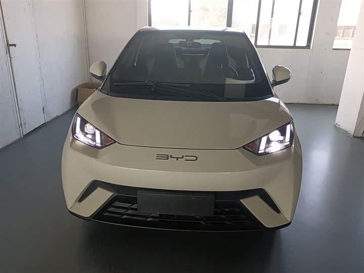 Фото 3 - BYD Seagull