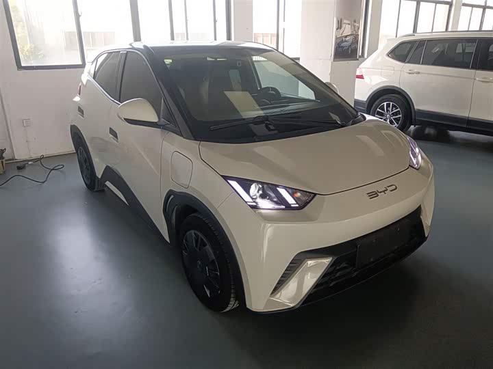 Фото 4 - BYD Seagull