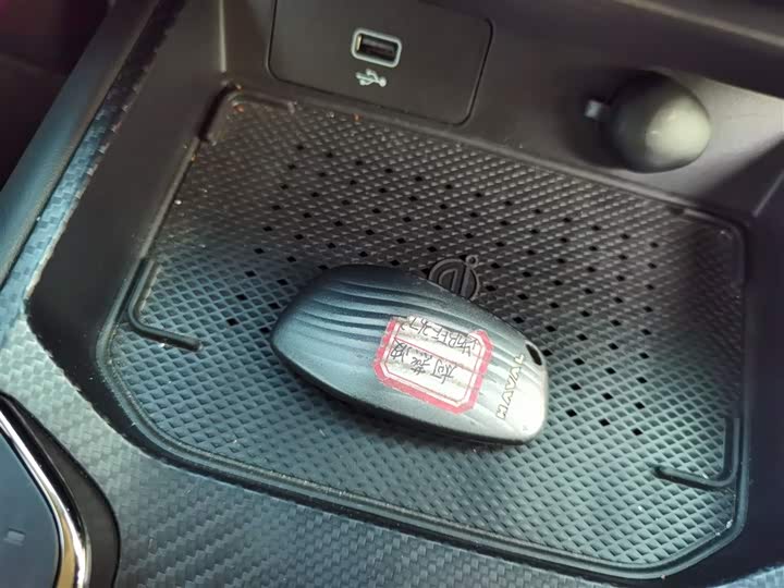 Фото 9 - Haval H-Dog Hybrid