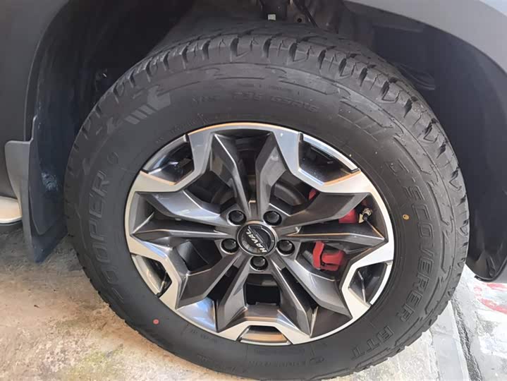 Фото 6 - Haval Dargo