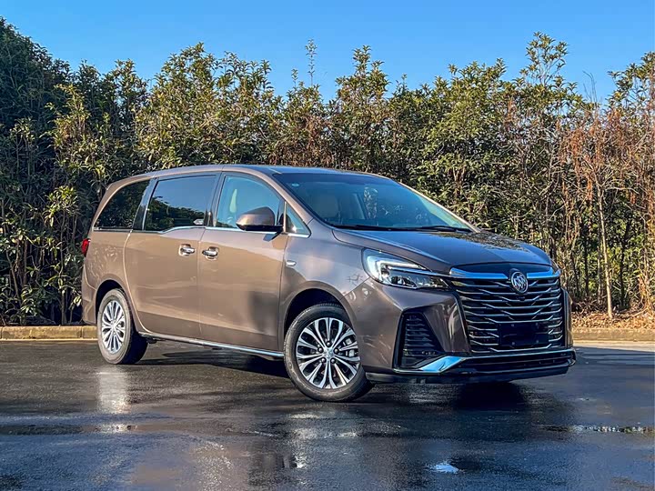 Фото 3 - Buick GL8 ES