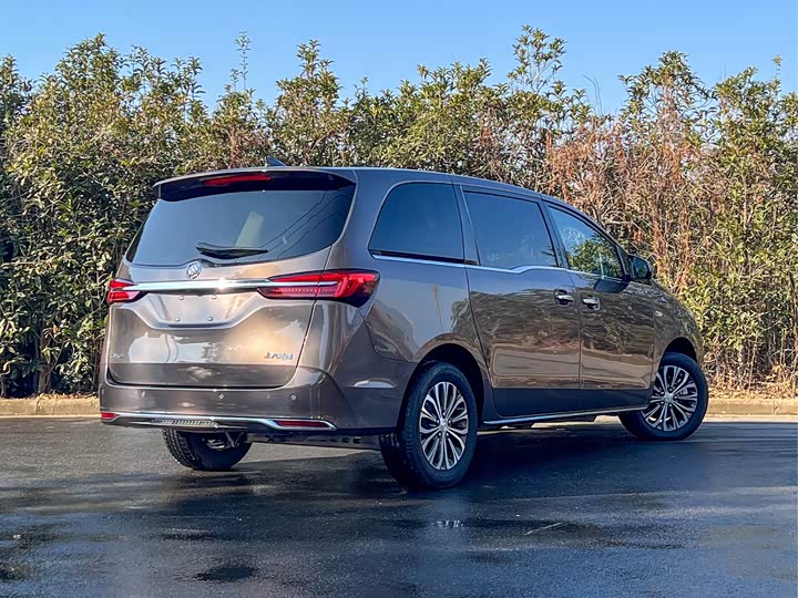 Фото 4 - Buick GL8 ES