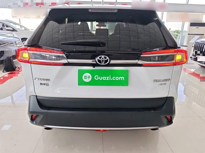 Фото 6 - Toyota Wildlander