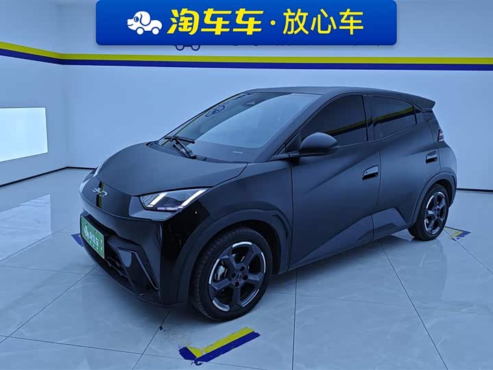 Фото 1 - BYD Seagull