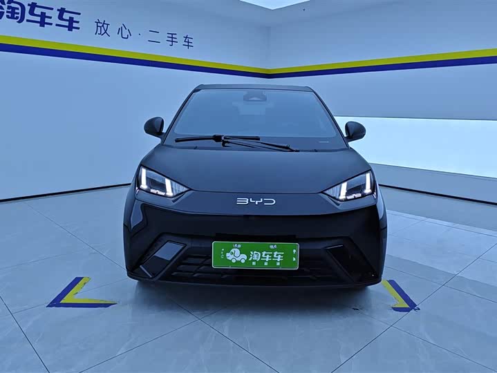 Фото 2 - BYD Seagull