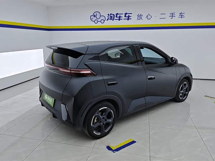 Фото 3 - BYD Seagull