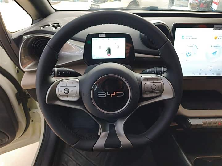 Фото 3 - BYD Dolphin