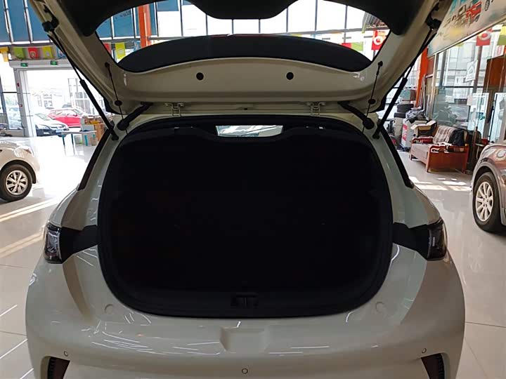 Фото 9 - BYD Dolphin