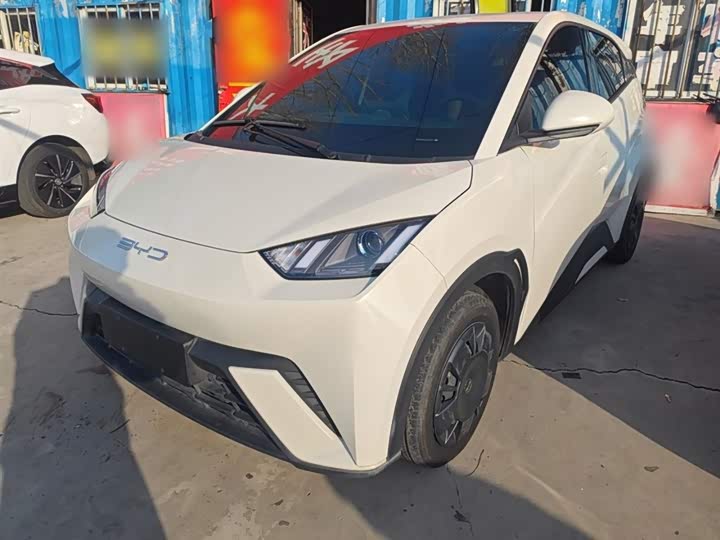 Фото 2 - BYD Seagull