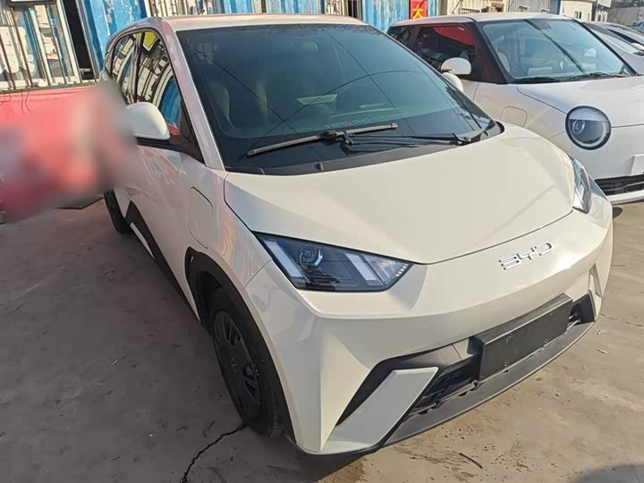 Фото 4 - BYD Seagull