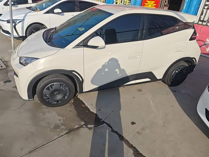 Фото 5 - BYD Seagull