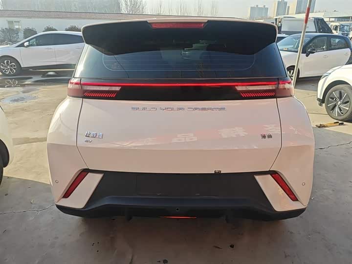 Фото 6 - BYD Seagull