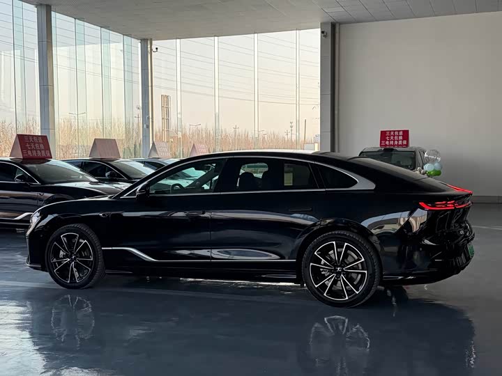 Фото 4 - Voyah Passion