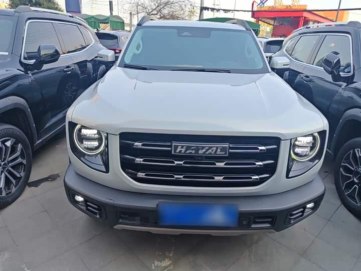 Фото 3 - Haval Dargo