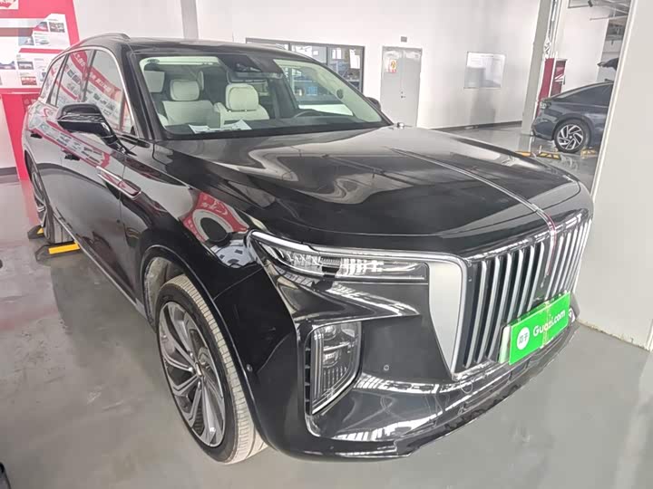 Фото 4 - Hongqi E-HS9