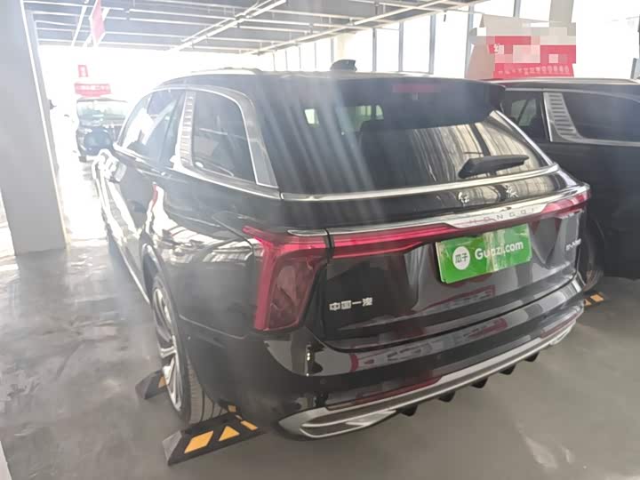 Фото 5 - Hongqi E-HS9