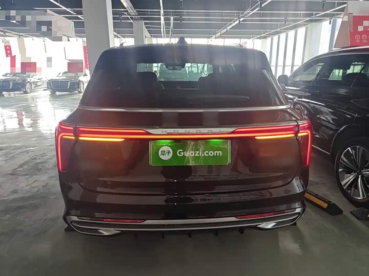 Фото 6 - Hongqi E-HS9