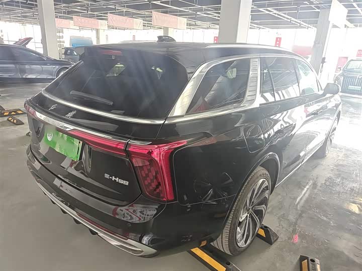 Фото 7 - Hongqi E-HS9