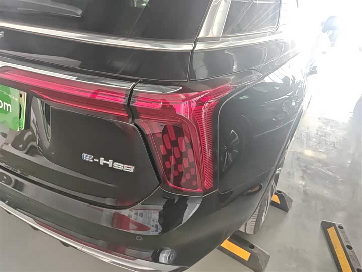 Фото 8 - Hongqi E-HS9