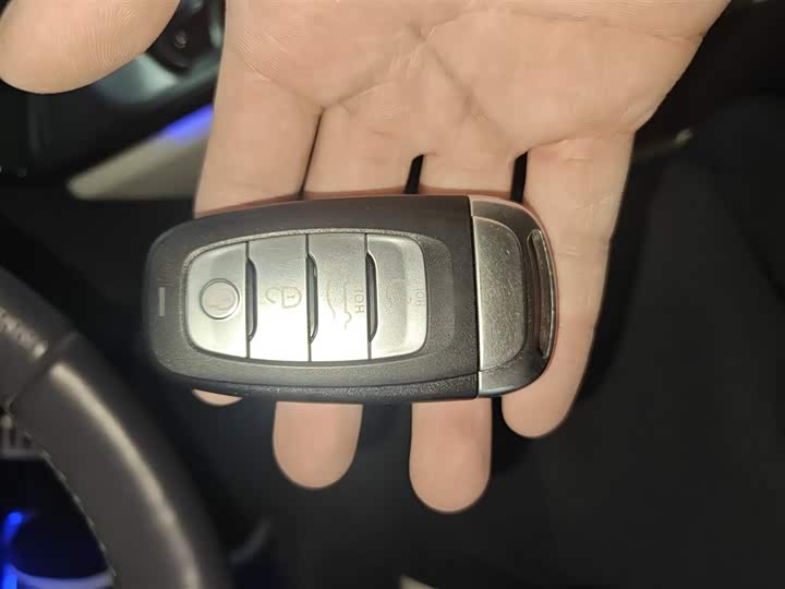 Фото 9 - Hongqi E-HS9