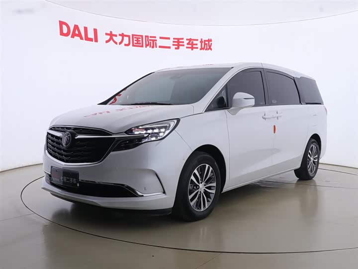 Фото 1 - Buick GL8 ES