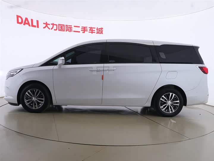 Фото 8 - Buick GL8 ES