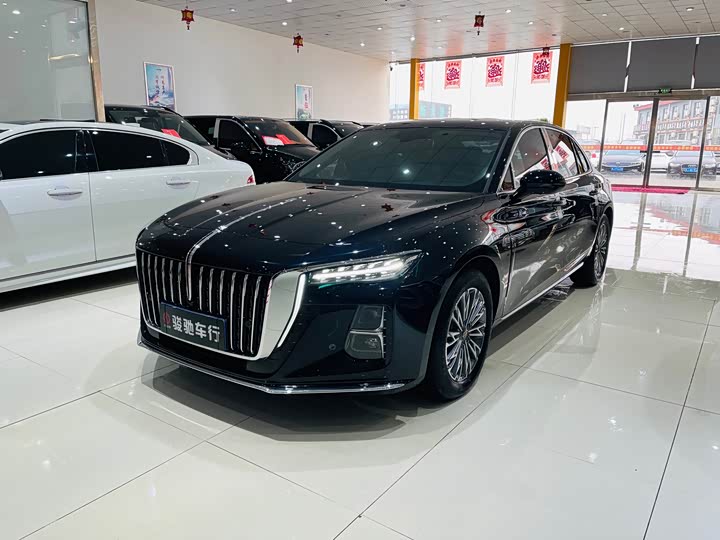 Фото 1 - Hongqi H5