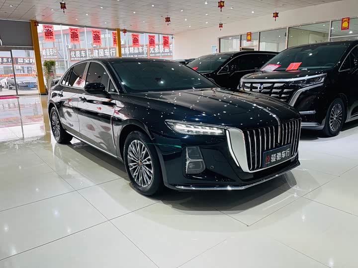 Фото 2 - Hongqi H5
