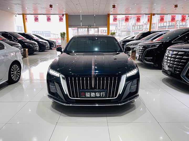 Фото 3 - Hongqi H5