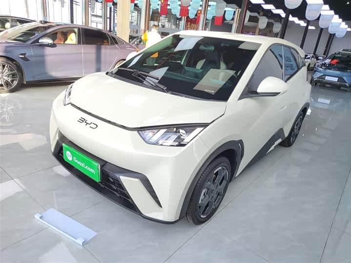 Фото 2 - BYD Seagull