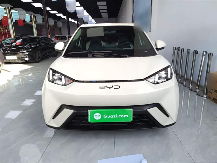 Фото 3 - BYD Seagull