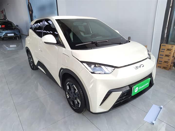 Фото 4 - BYD Seagull