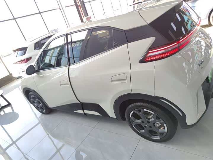 Фото 5 - BYD Seagull