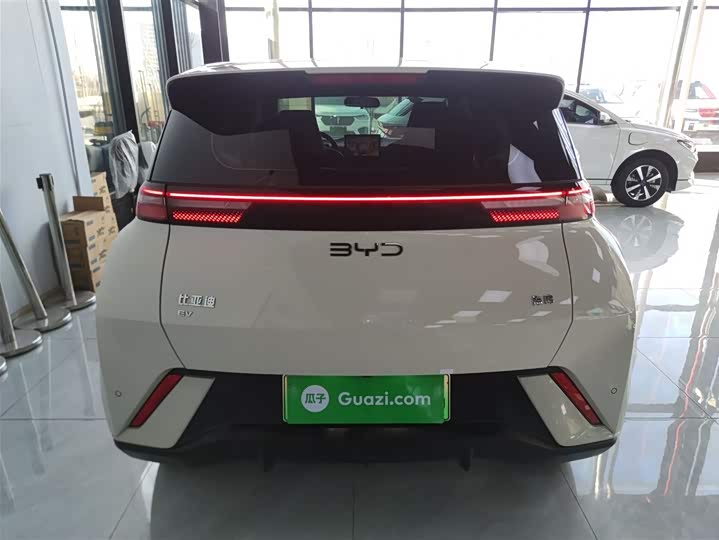 Фото 6 - BYD Seagull