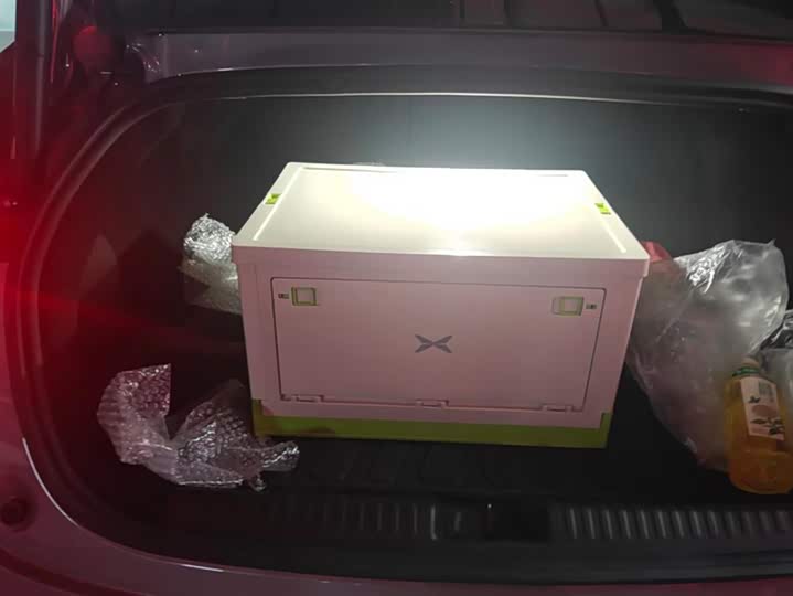 Фото 4 - XPeng P7