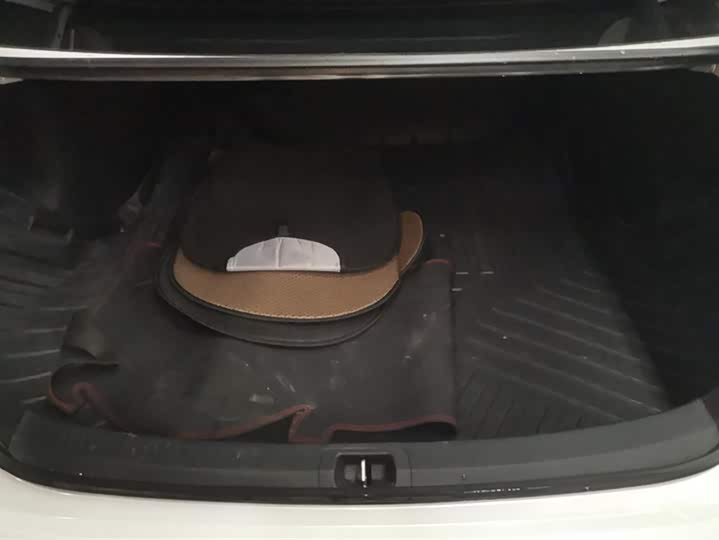 Фото 4 - Toyota Allion