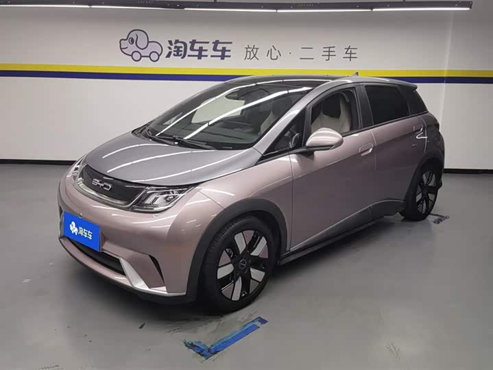 Фото 1 - BYD Dolphin