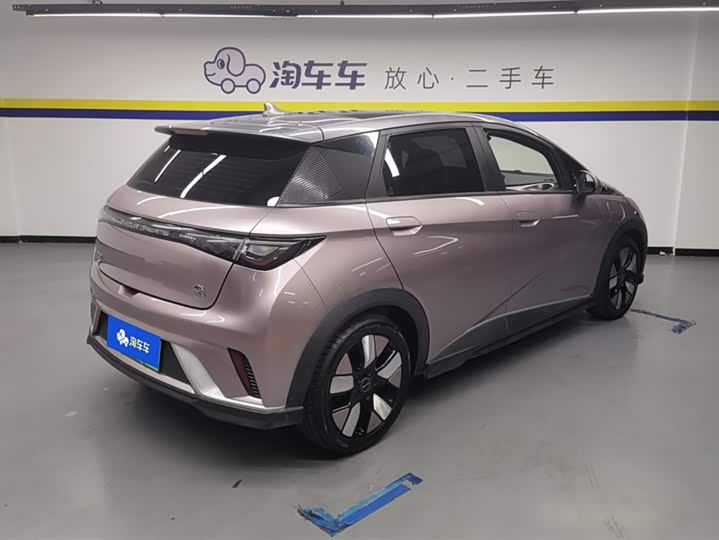 Фото 3 - BYD Dolphin