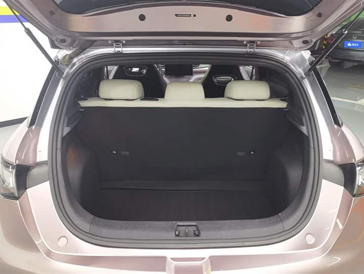 Фото 4 - BYD Dolphin