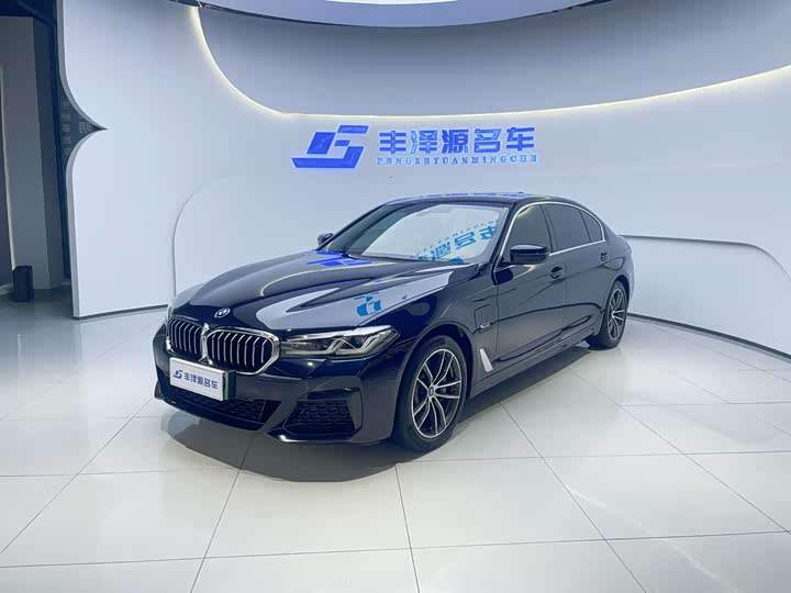 Фото 1 - BMW 5 Series Hybrid